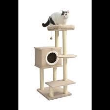 Casa de Gato
